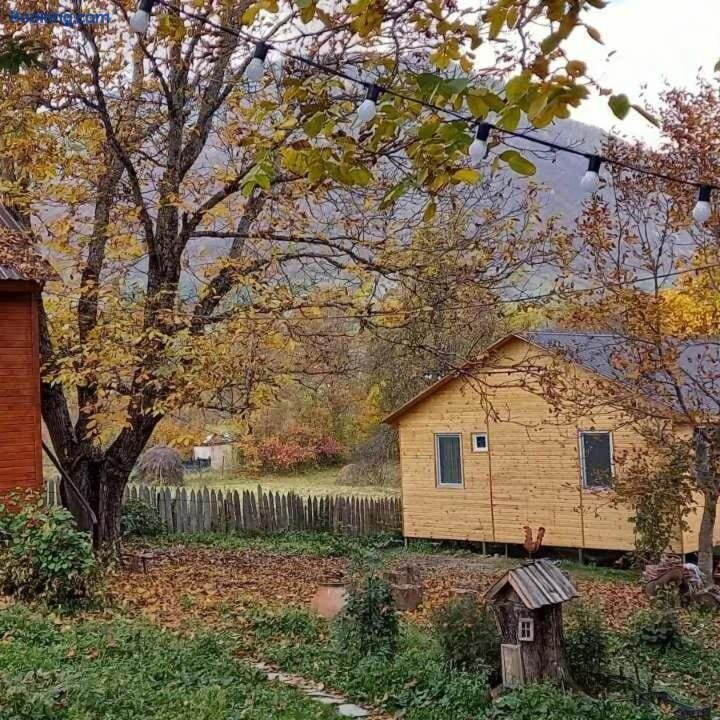 Guest House Brili