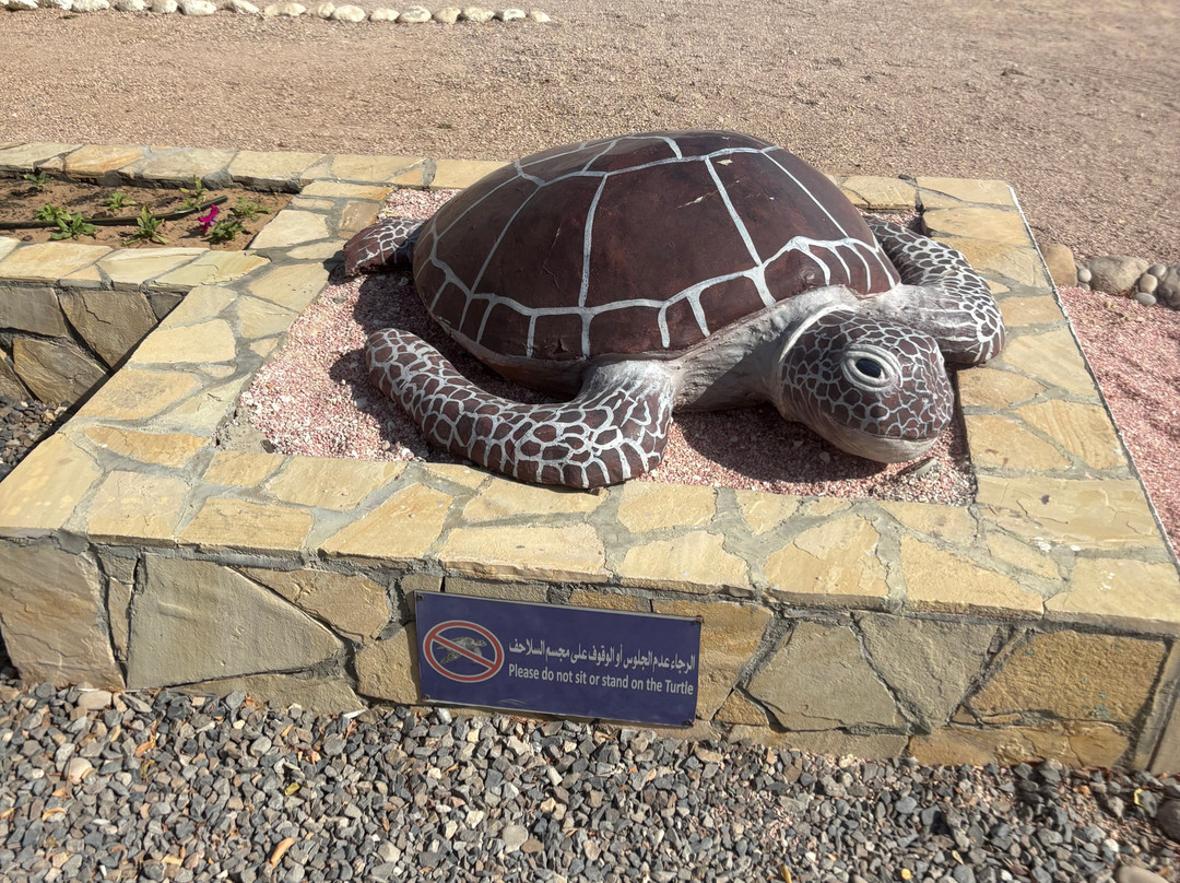 Star Tours Oman-马斯喀特必去景点