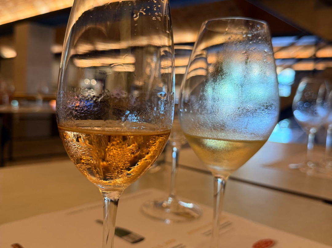 Freixenet-桑特萨杜尔尼达诺亚必去景点