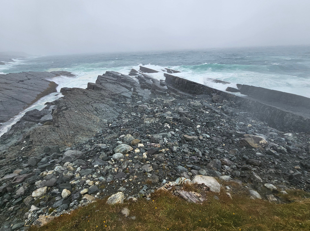 Mistaken Point Ecological Reserve-Portugal Cove South必去景点