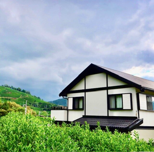 Blodge Lodge