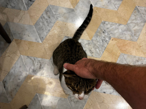 Tangier Private Tours-丹吉尔必去景点