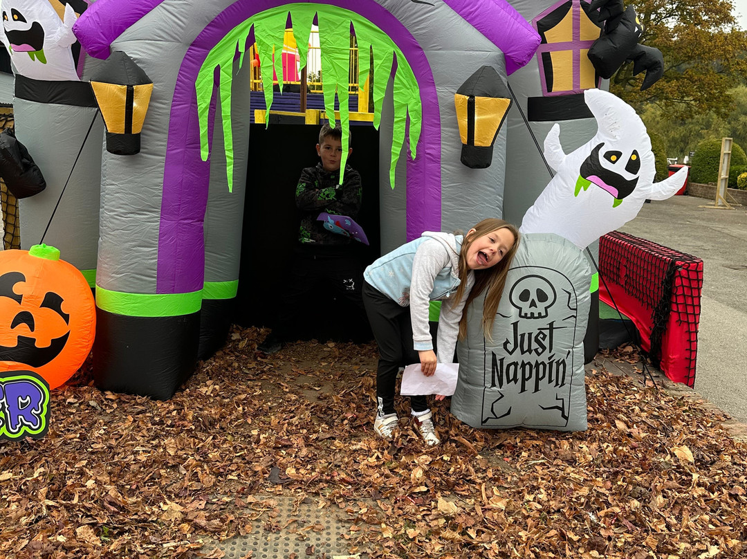 Lightwater Valley Family Adventure Park-North Stainley必去景点