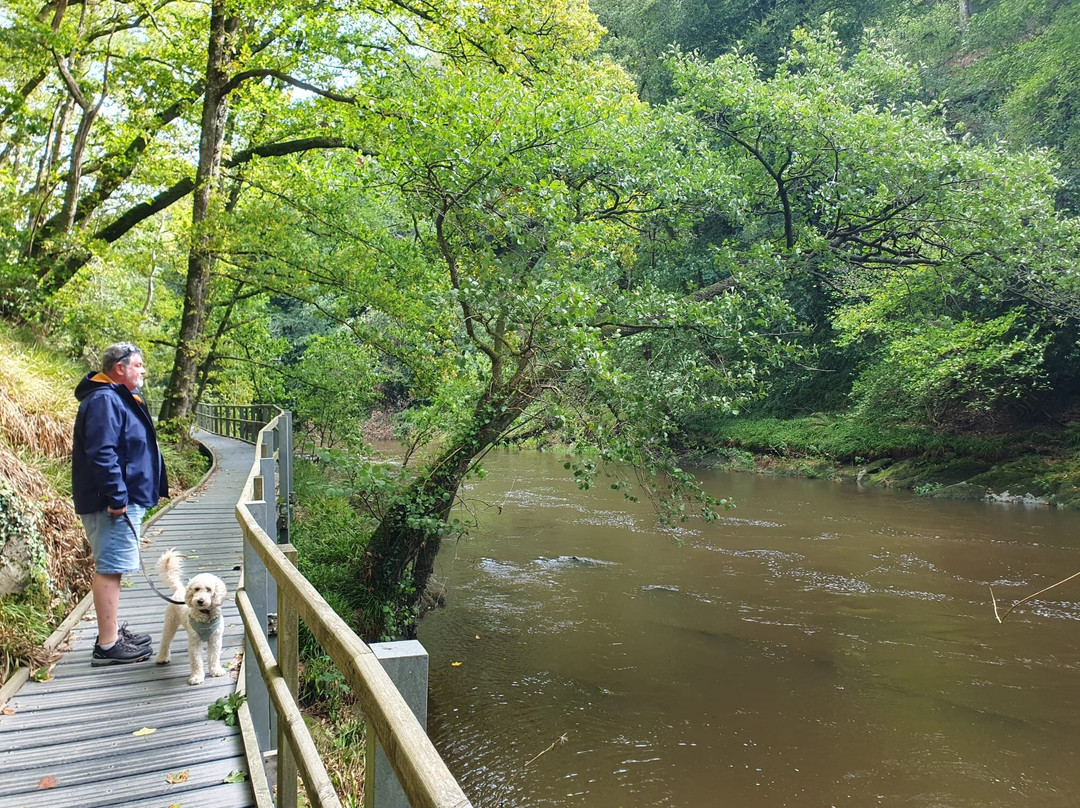 Cenarth Falls-Cenarth必去景点