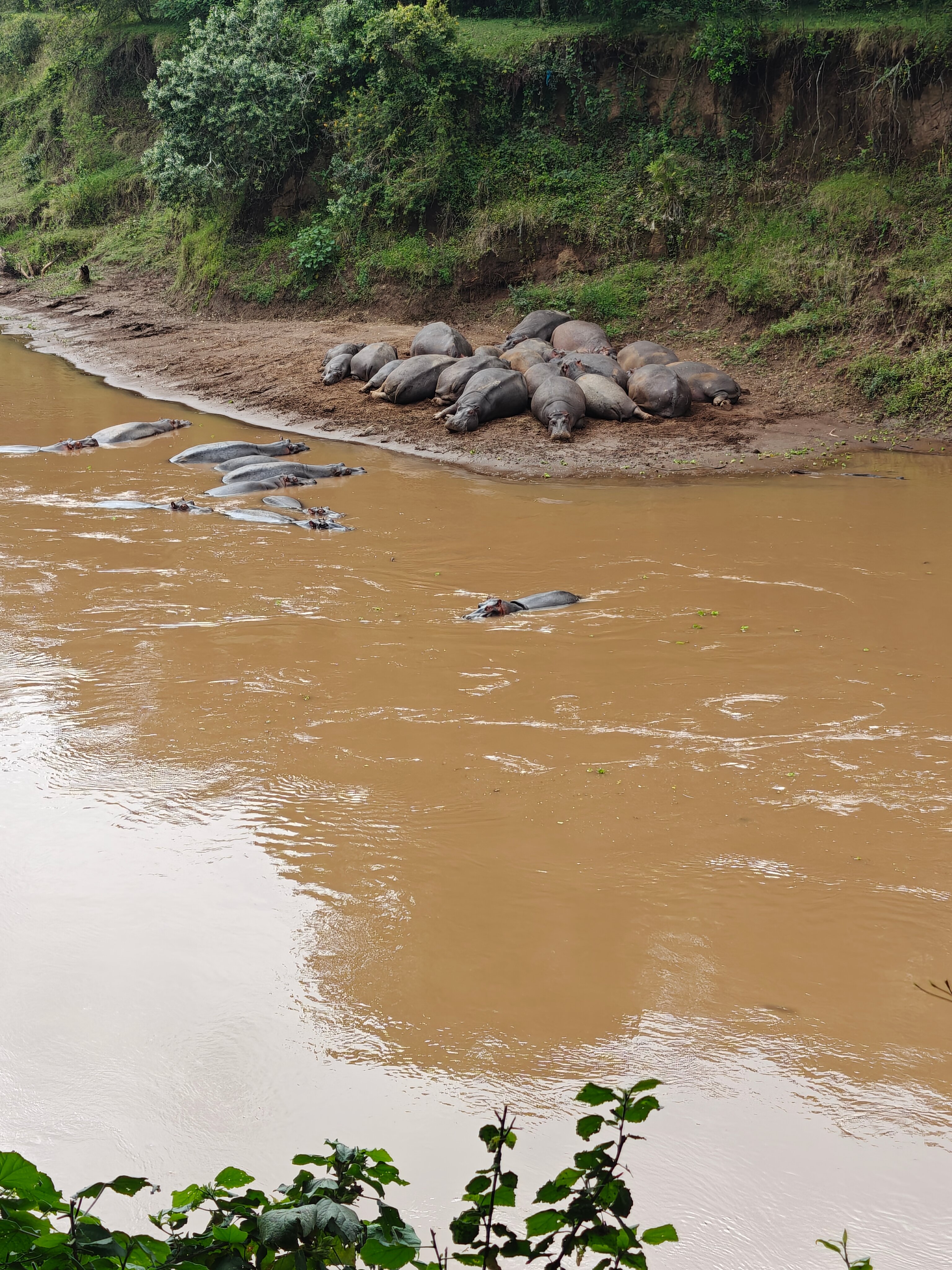 费尔蒙马拉野生动物俱乐部酒店-浴室