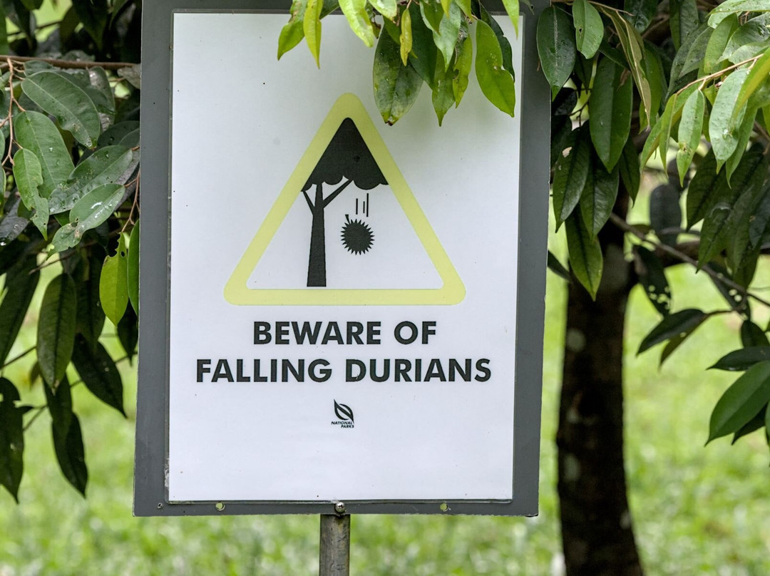 Pulau Ubin Nature and Kampong Walk-乌敏岛必去景点