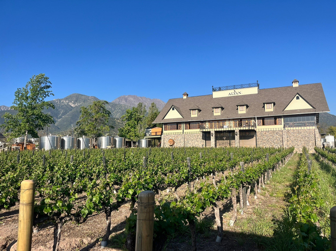 Alyan Family Wines-Pirque必去景点