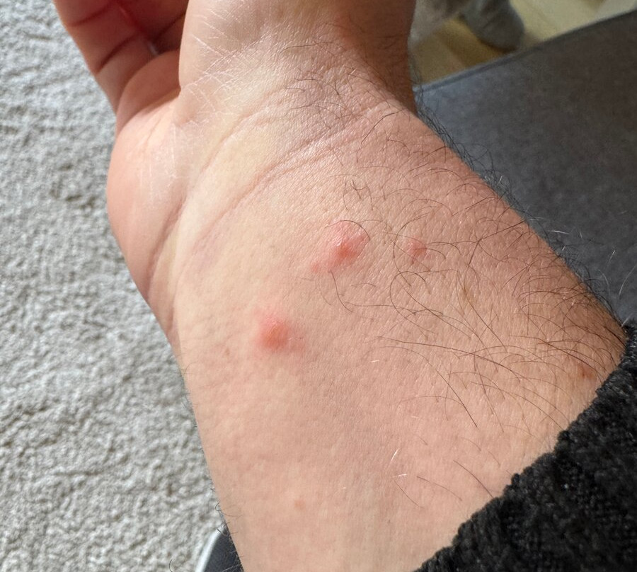 Brunnholl Country Guesthouse主图