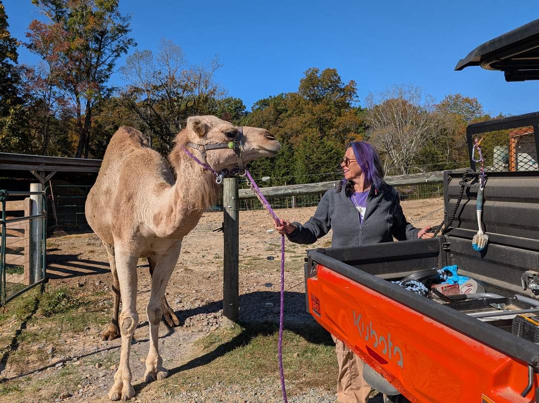 Infinity Acres Petting Ranch-Ridgeway必去景点