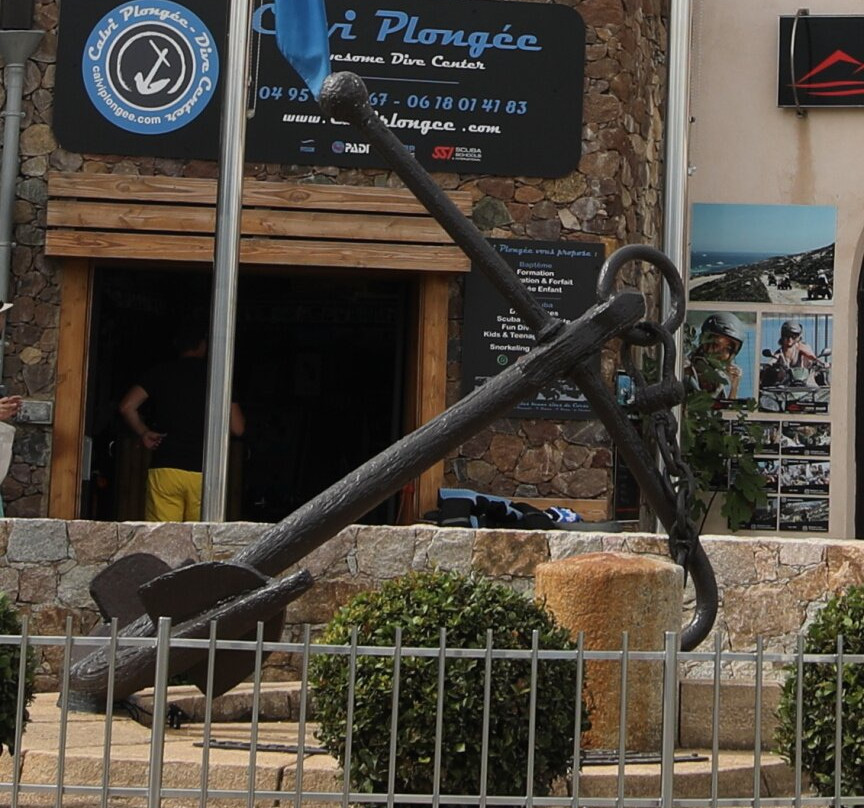 Port de Plaisance-卡尔维必去景点