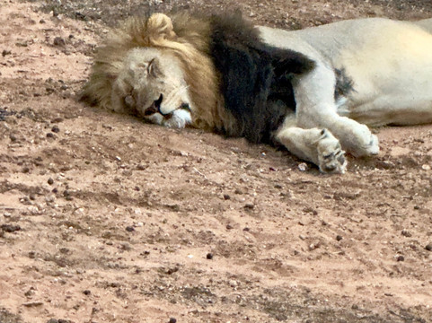 MyAfrica-霍德斯普鲁特必去景点