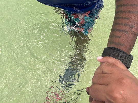 Cool Runnings Reef Tours-克朗波因特必去景点