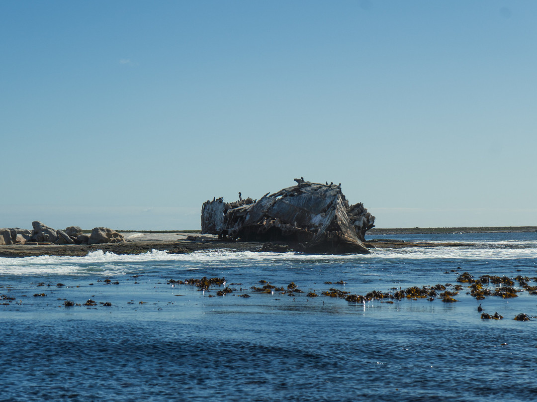 Cape Coast Expeditions-Yzerfontein必去景点