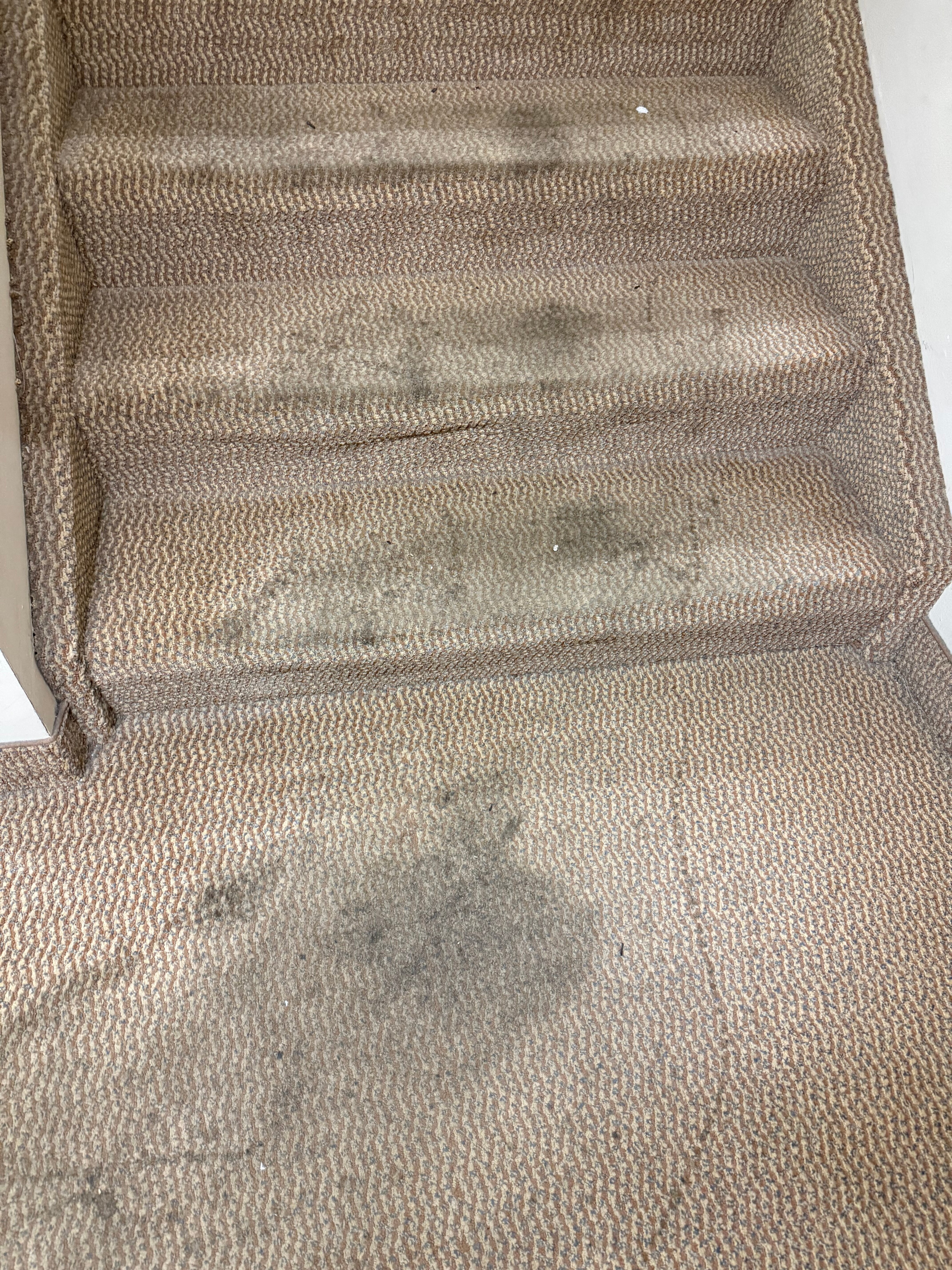 Holiday Inn Express & Suites Youngstown West - Austintown By IHG-官方