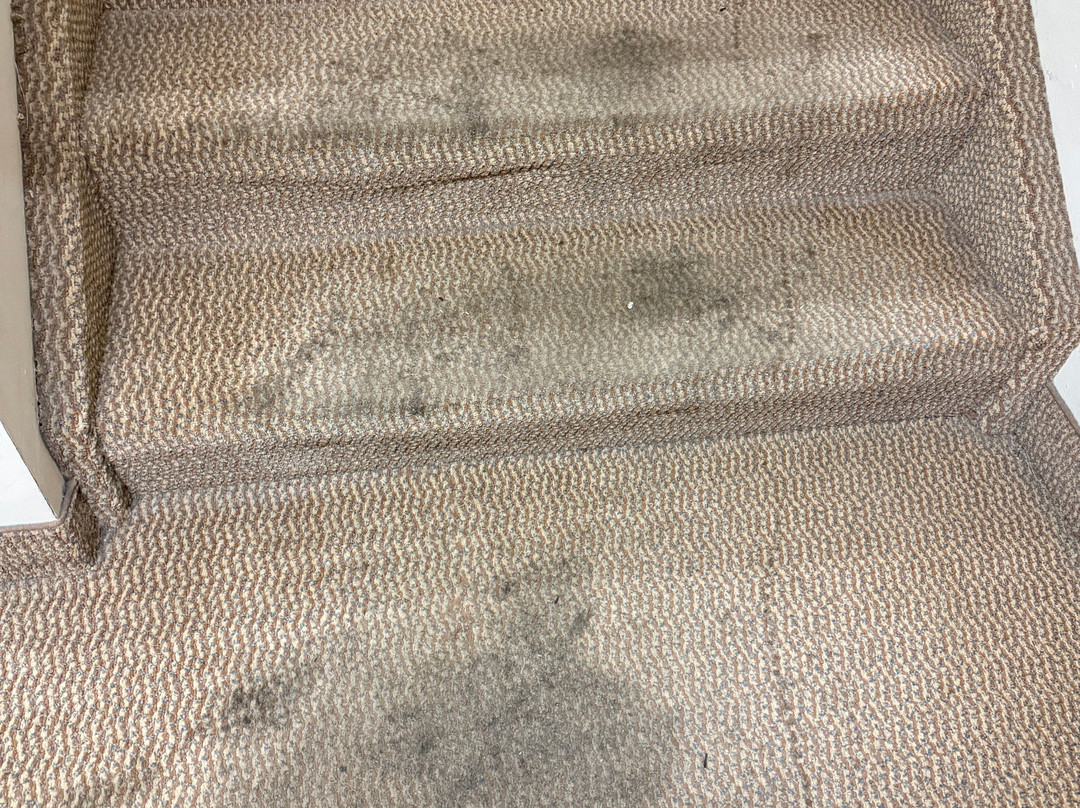 Holiday Inn Express & Suites Youngstown West - Austintown By IHG主图