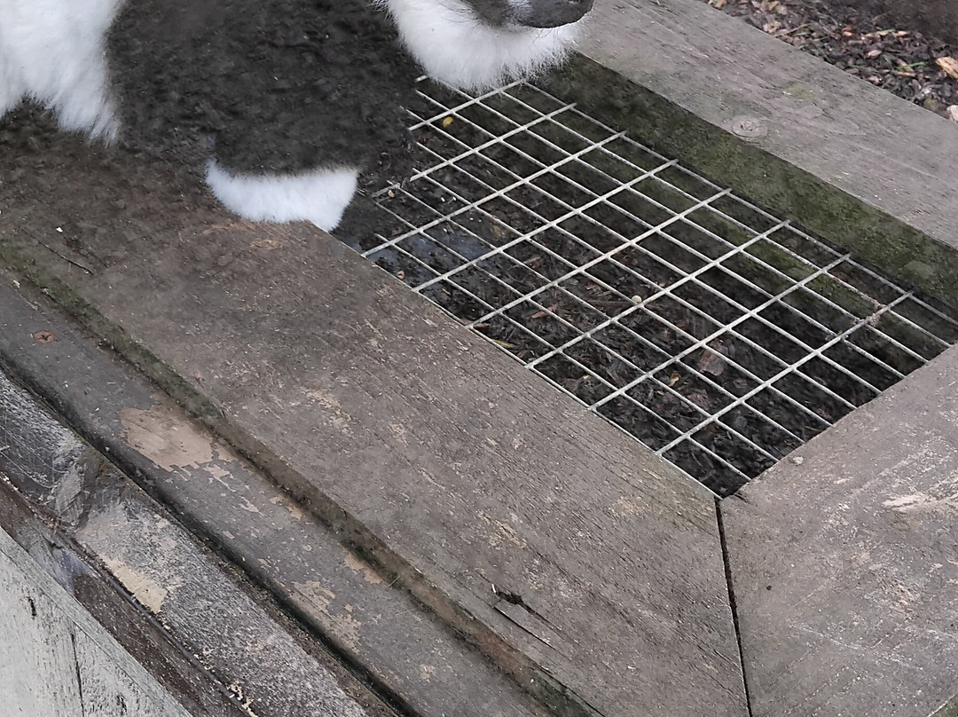 Filey Bird Garden & Animal Park-Filey必去景点