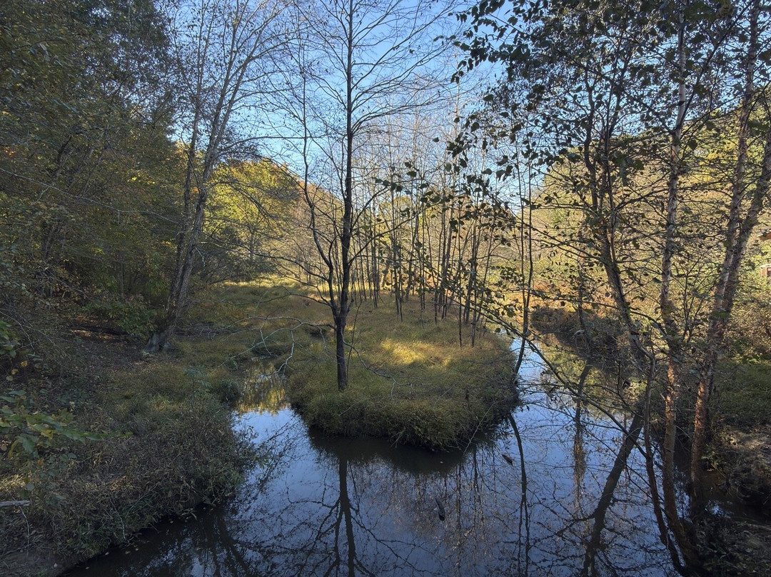 Historic Yates Mill County Park-罗利必去景点