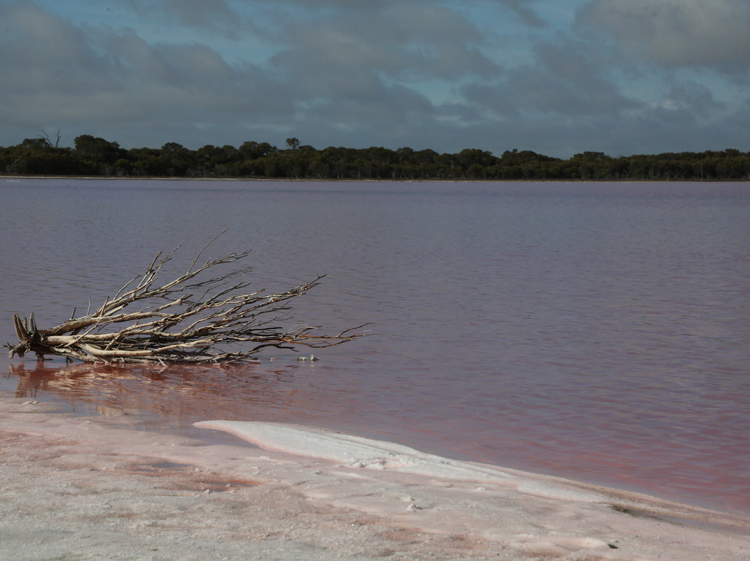 Pink Lake-Dimboola必去景点