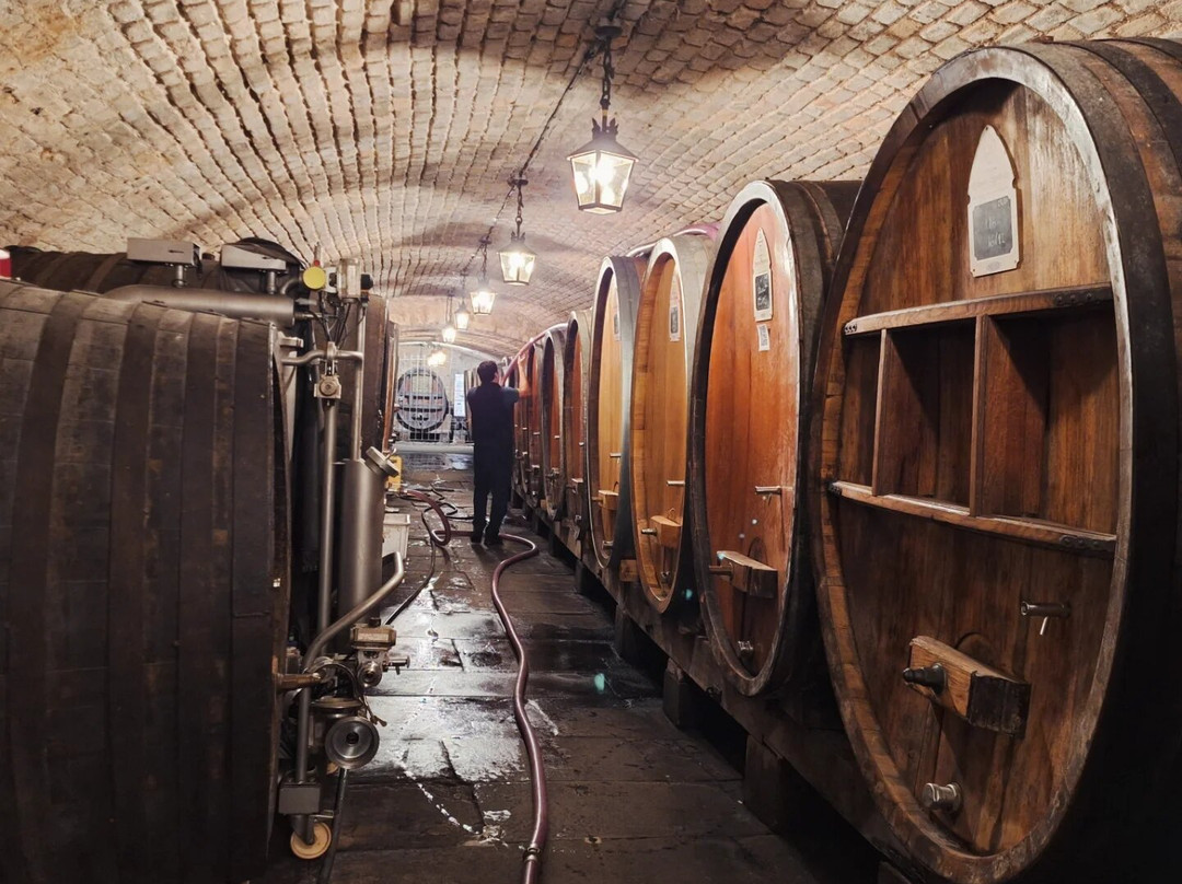 Cave historique des hospices civils de Strasbourg-斯特拉斯堡必去景点