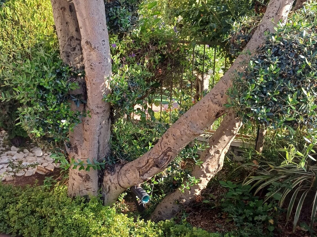 Erettz Dafna Travel Hotel主图