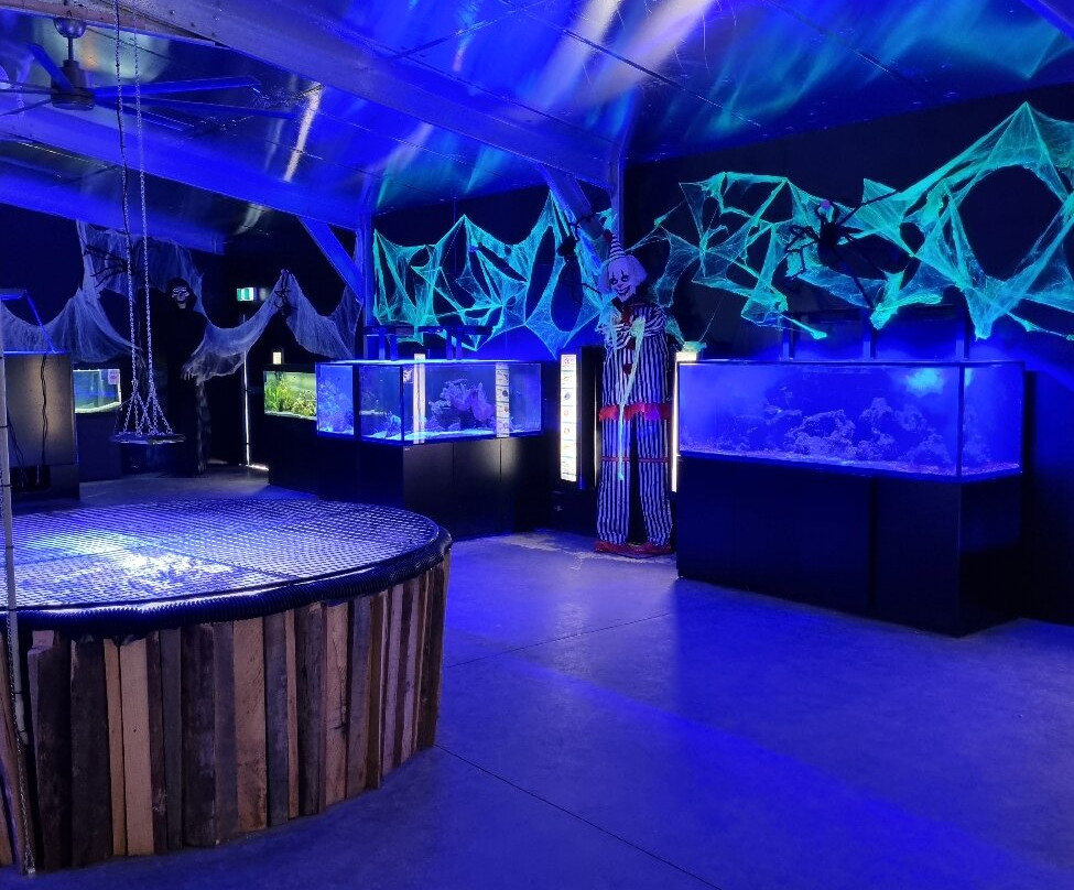 Zoodoo野生动物园-Richmond必去景点