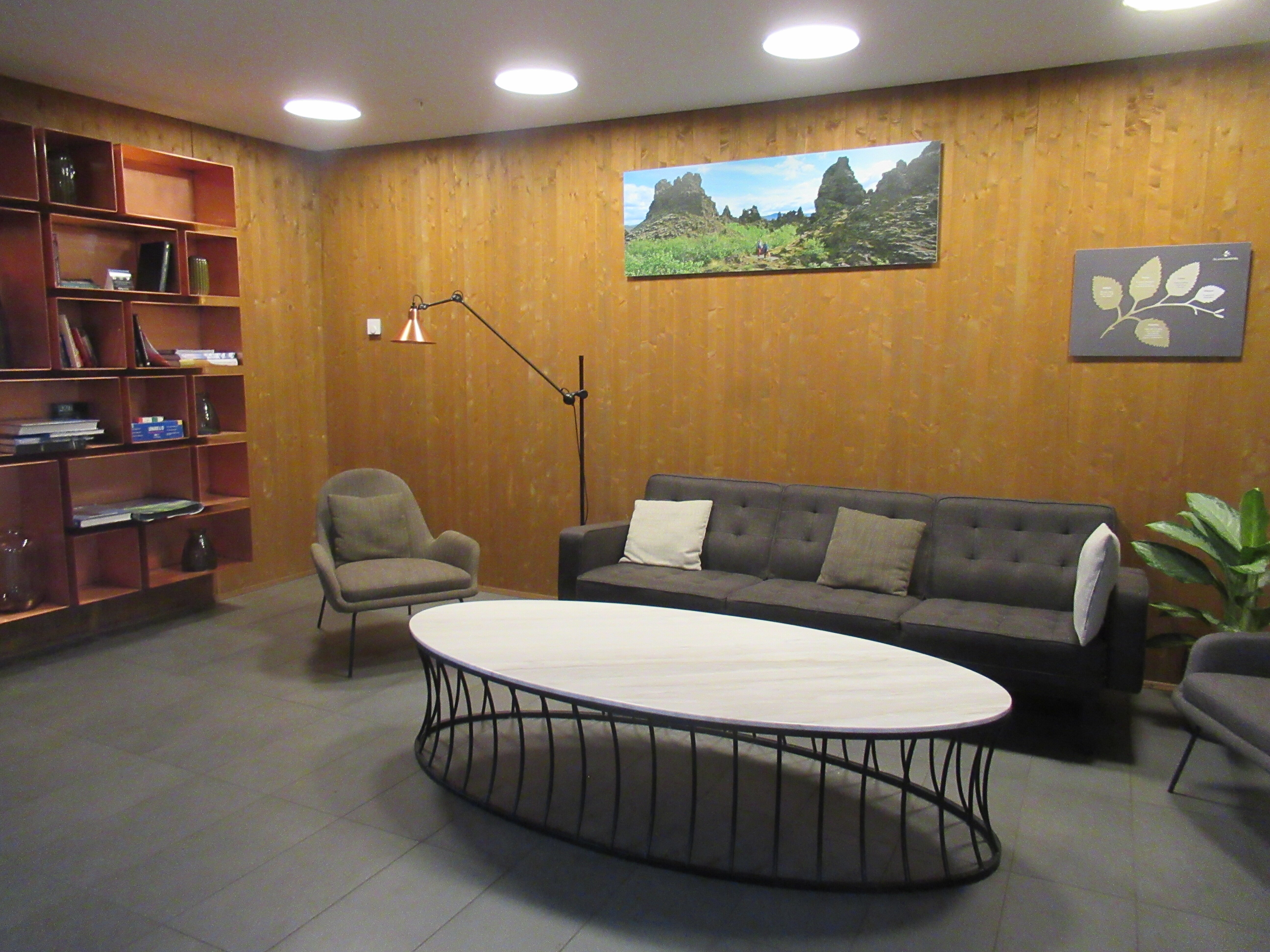 Fosshotel Myvatn-浴室