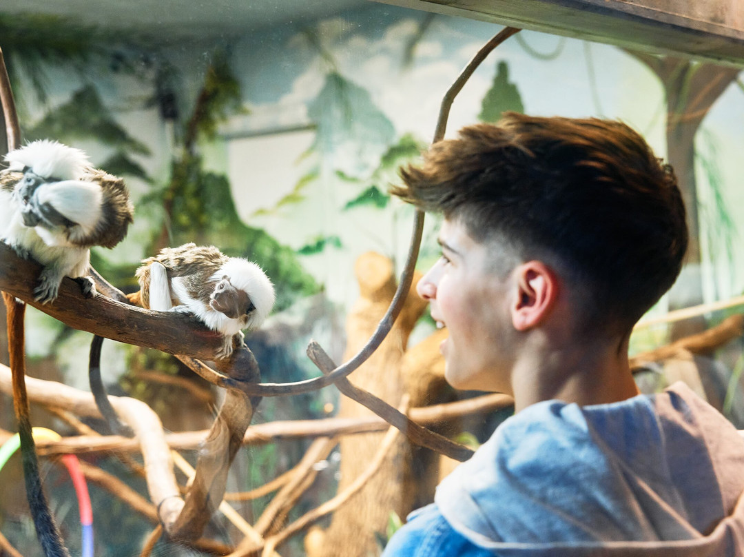 Oglebay Good Zoo-Wheeling必去景点