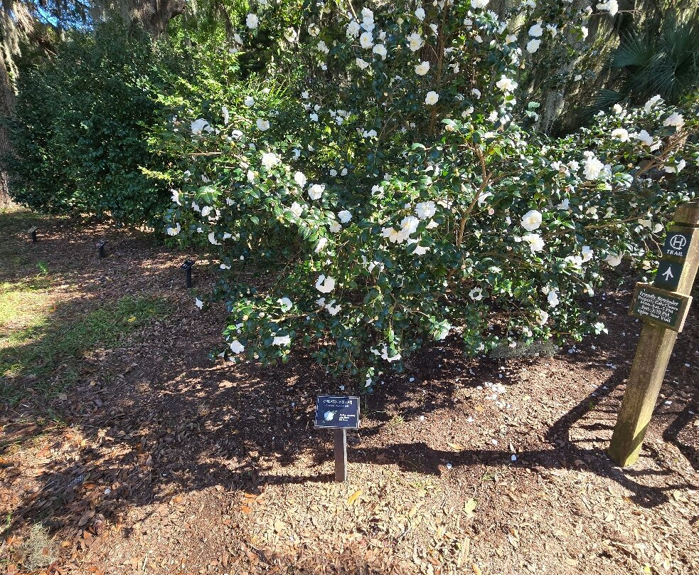 Coastal Discovery Museum-希尔顿头岛必去景点