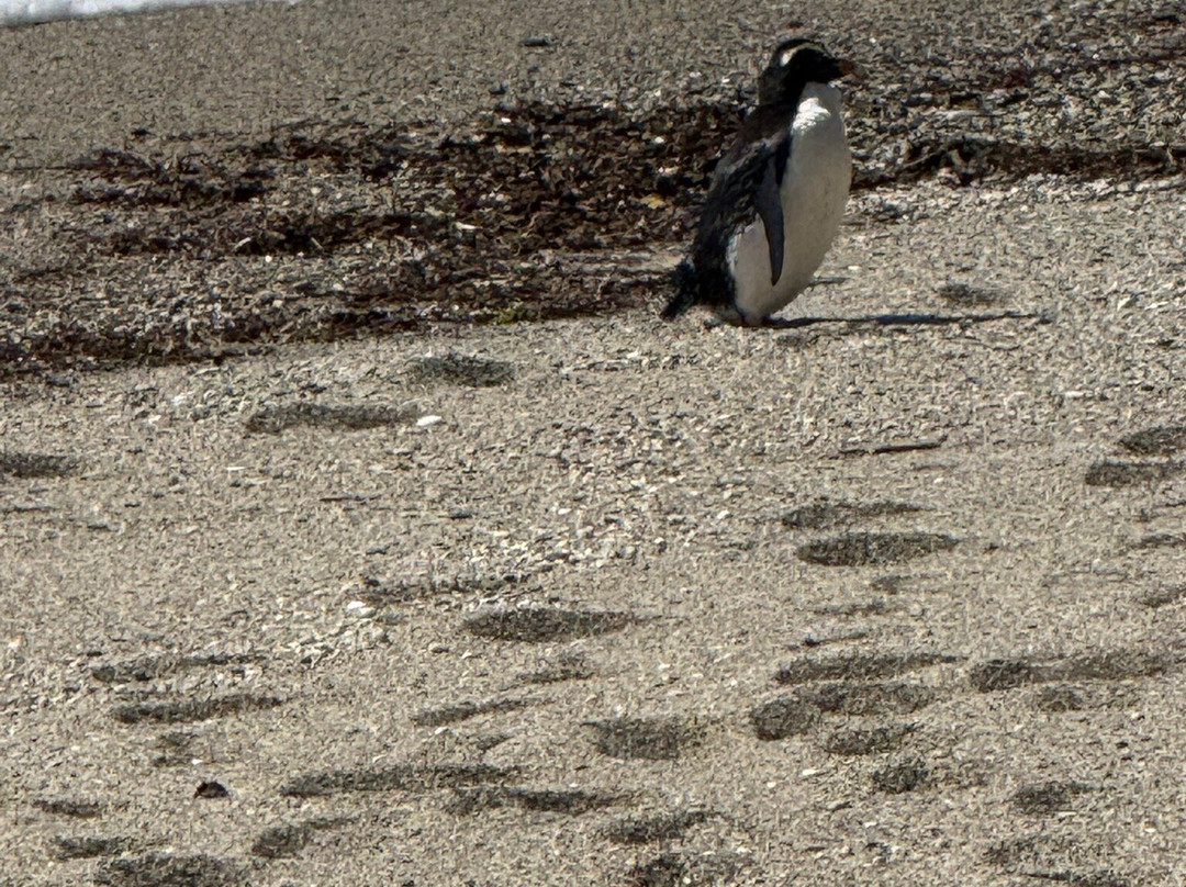 Monro Beach-Lake Moeraki必去景点