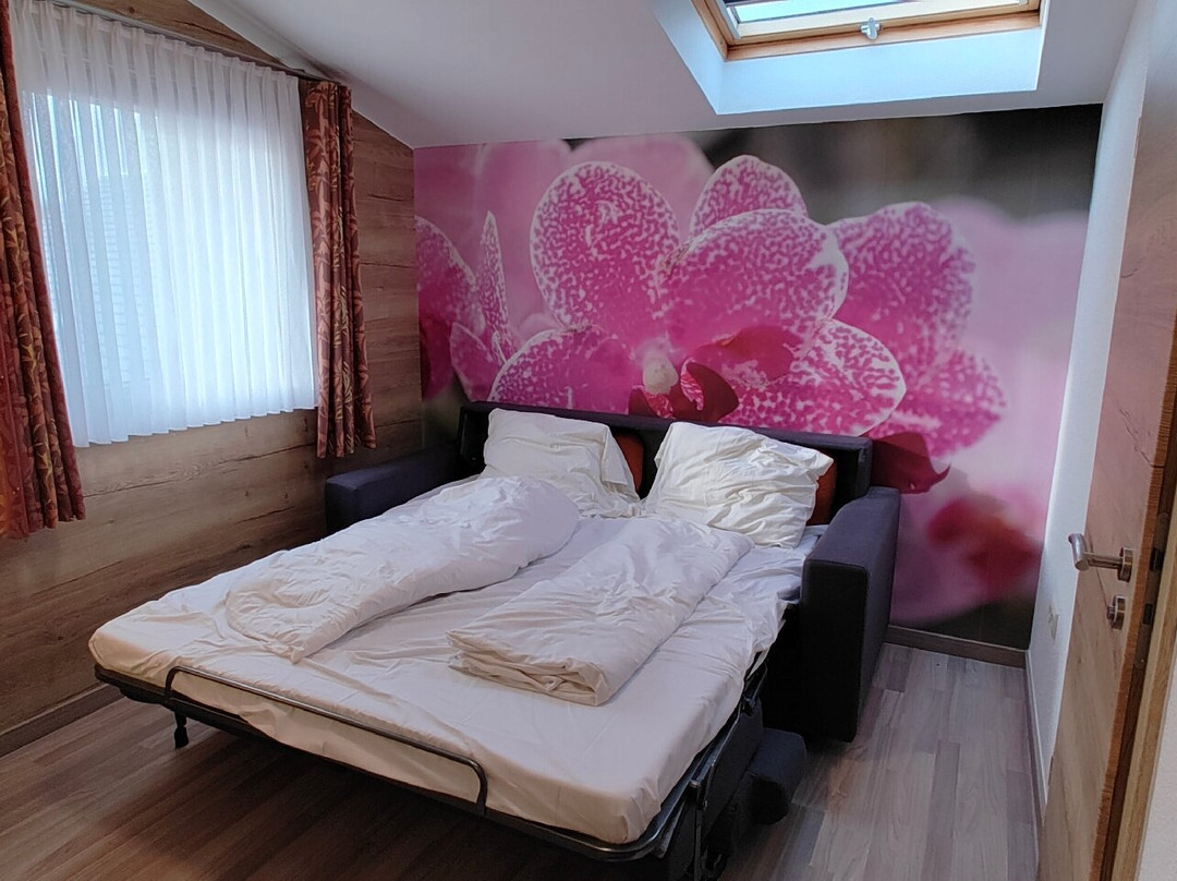 Hotel Restaurant Zum Buchenberg主图