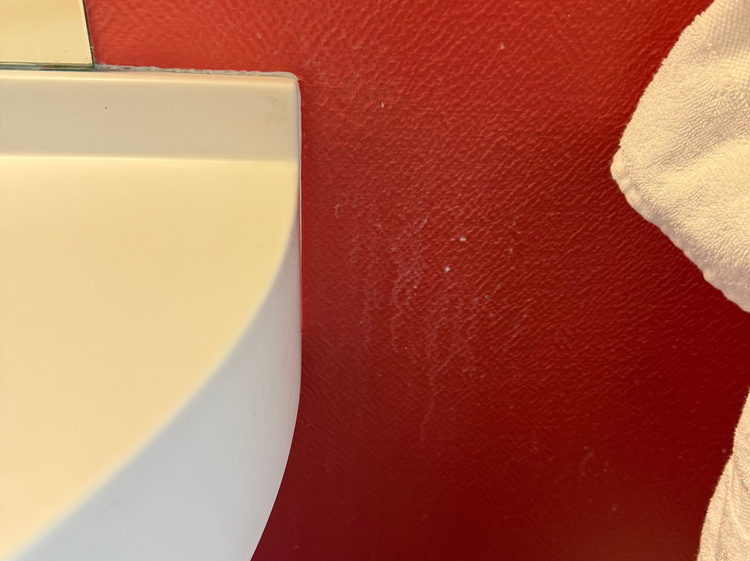 Ace Hotel Paris Marne La Vallee主图