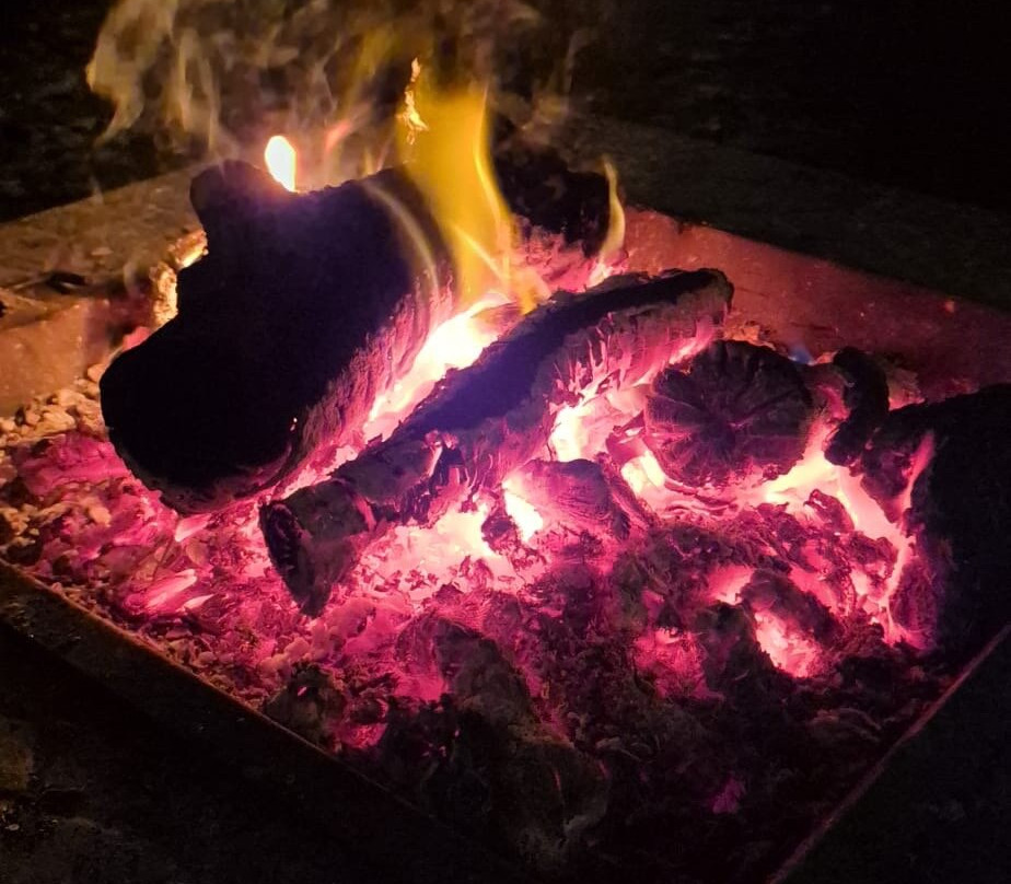 Watermill Wolves Wolf-dog Actors-Bexhill-on-Sea必去景点