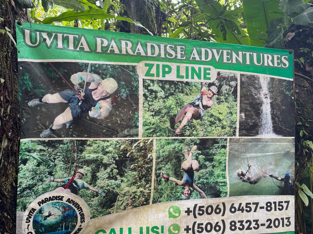 Uvita Paradise Adventures ( Zip Line)-乌维塔必去景点