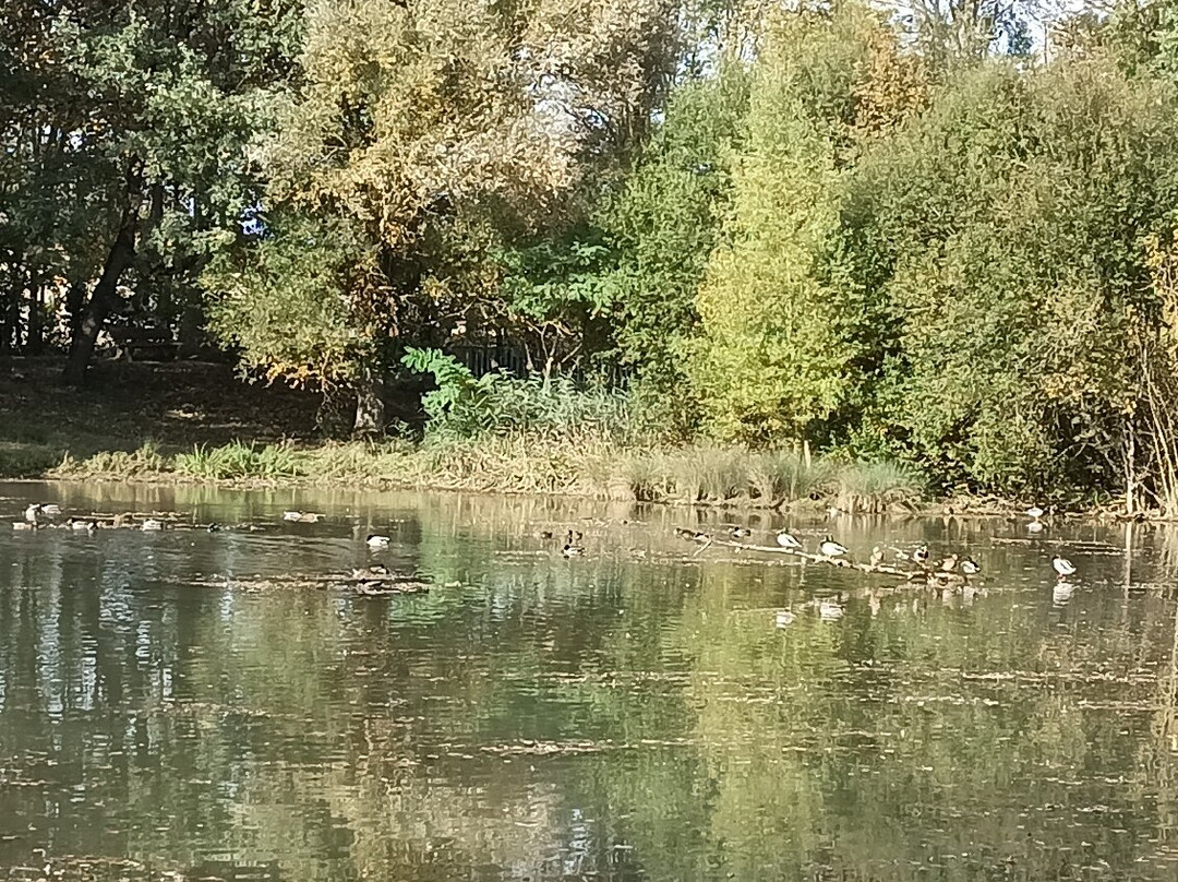 La compagnie de la guinguette
