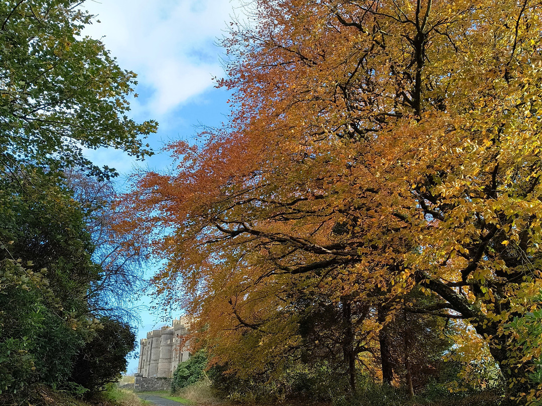 Dalquharran Castle-Girvan必去景点