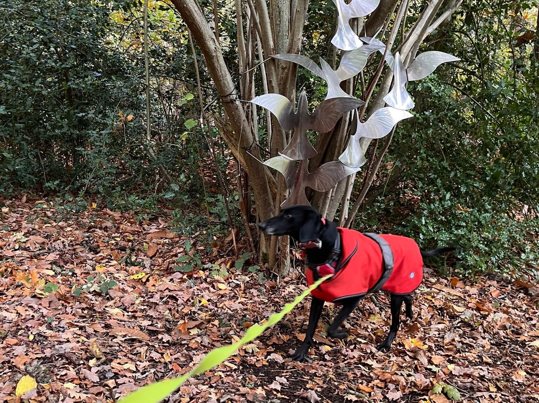 Holt Country Park-诺威奇必去景点