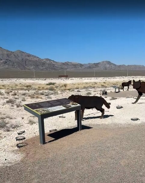 Ice Age Fossils State Park-北拉斯维加斯必去景点