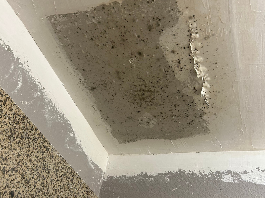 La Quinta Inn & Suites by Wyndham Abilene Mall主图