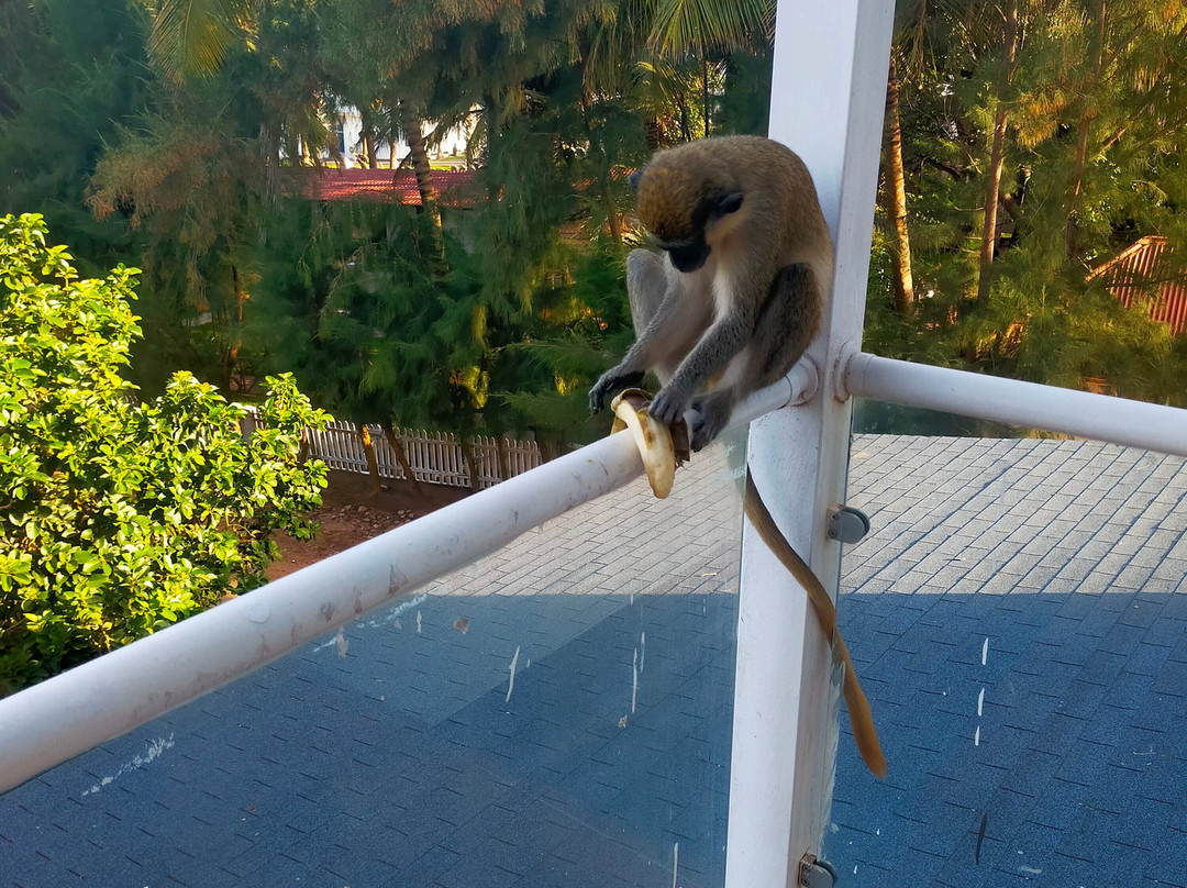 Kasumai Beach Resort主图