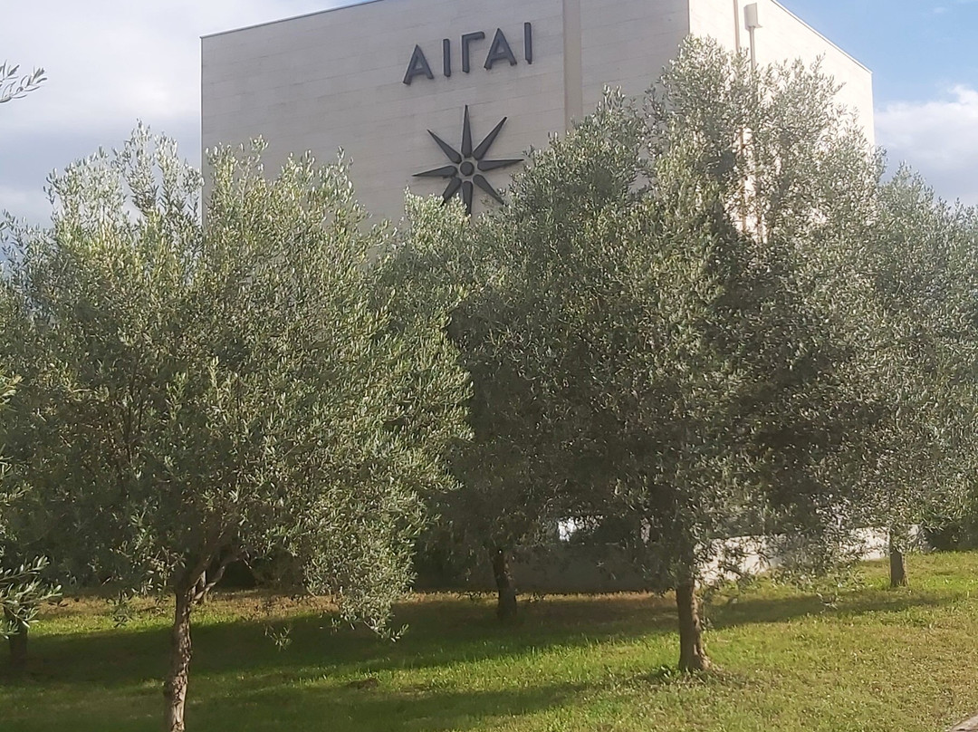 Polykentrikó mouseío Aigón-Vergina必去景点