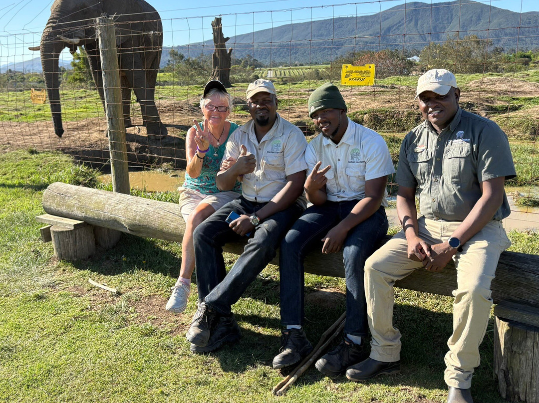 Elephant Sanctuary The Crags-The Crags必去景点