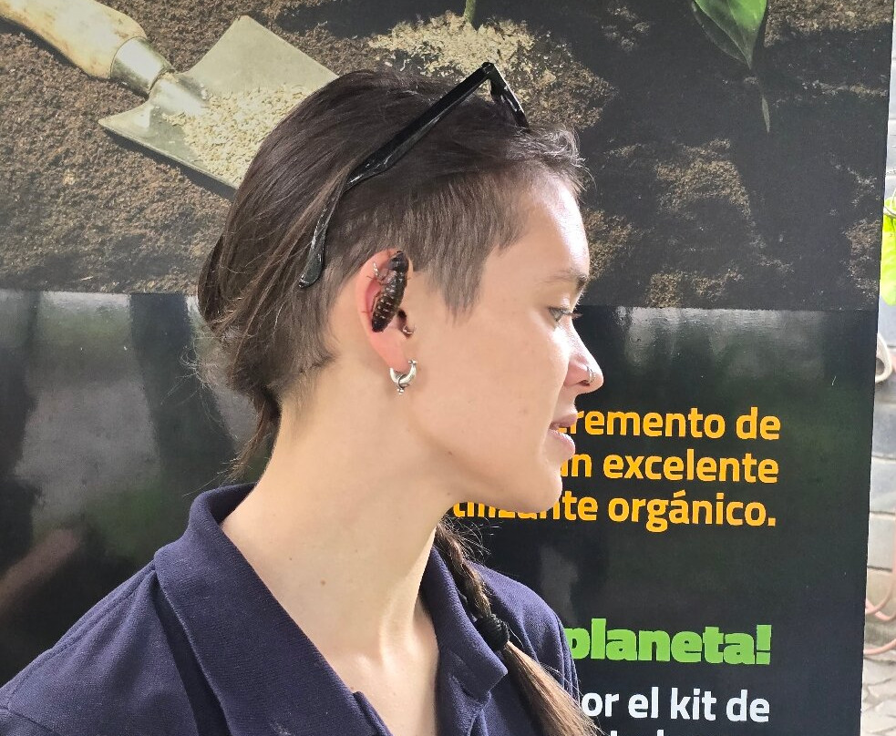 Wikiri Sapoparque-基多必去景点