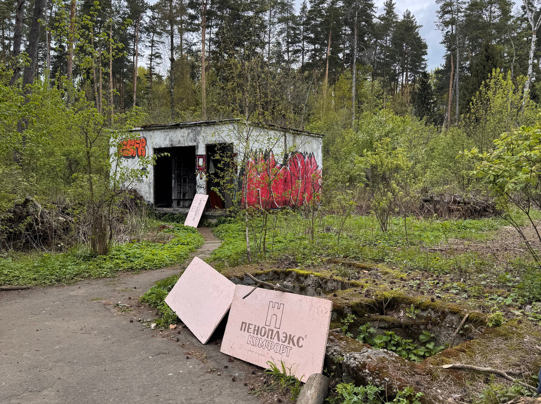 Gorenskiy Lesopark-Balashikha必去景点