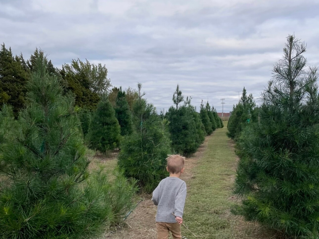 Owasso Christmas Tree And Berry Farm-奥瓦索必去景点