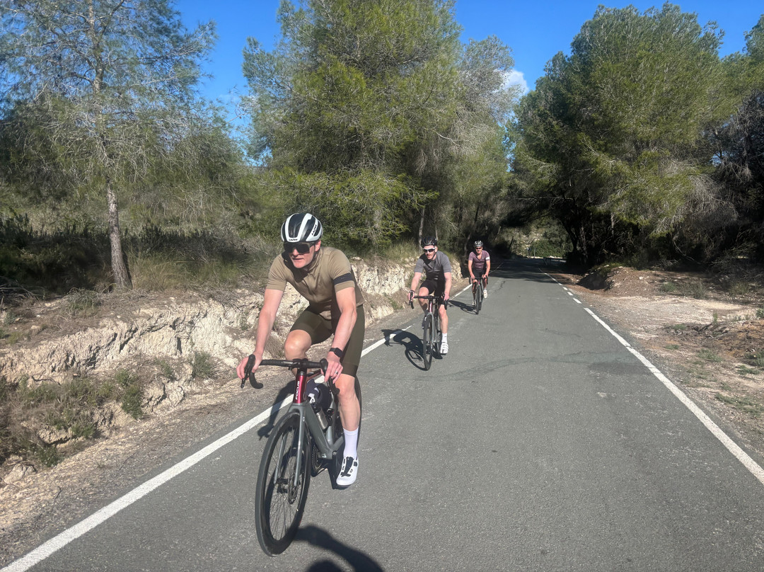 OriMar Bikes-穆尔西亚必去景点