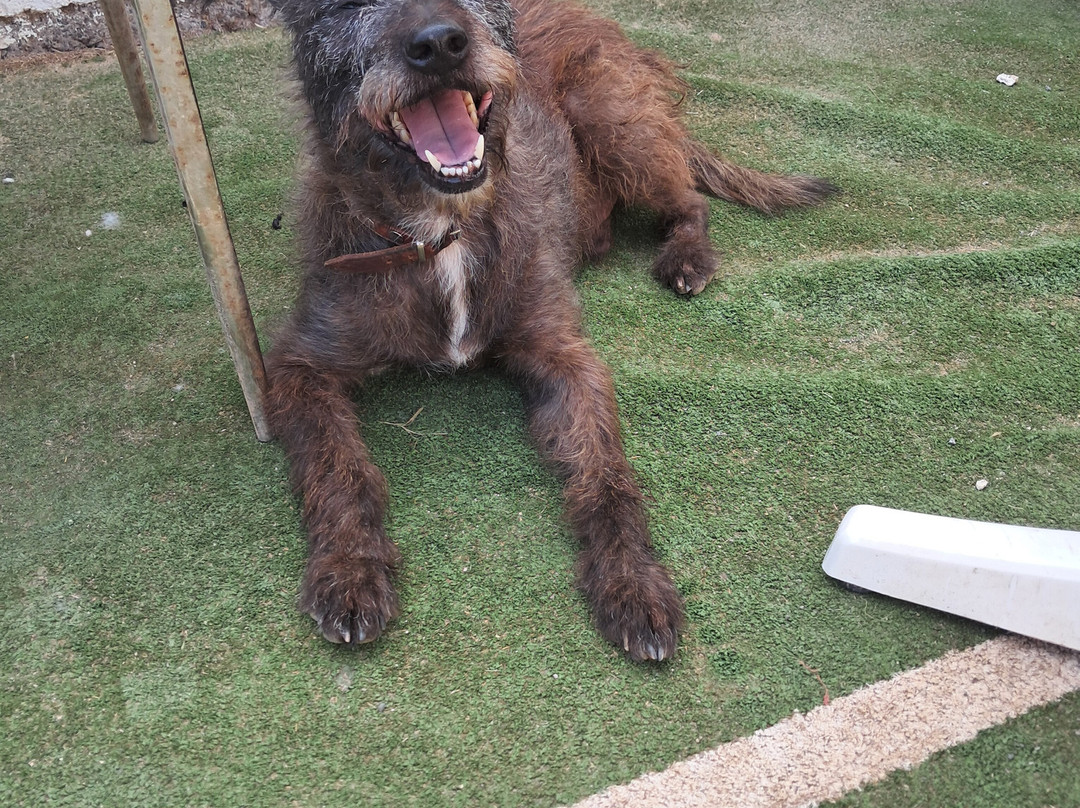 Tenerife Animal Sanctuary-圣克鲁斯-德特内里费必去景点
