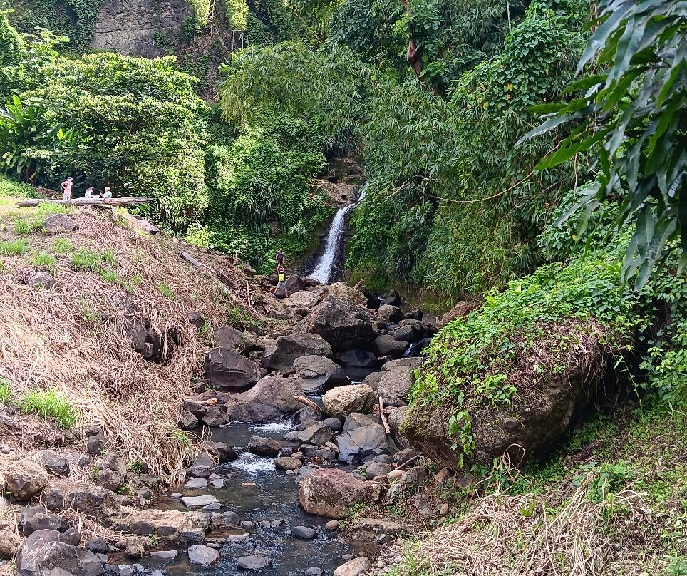 Annandale Falls-St. George's必去景点