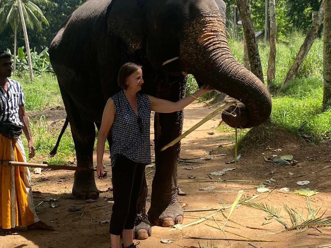 Pure Lanka Tours-Melsiripura必去景点