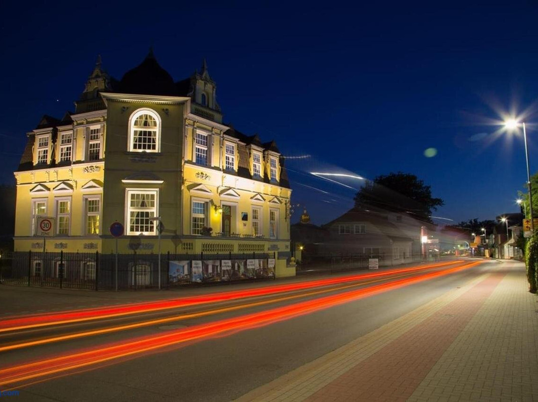 Hotel Villa-SVD主图