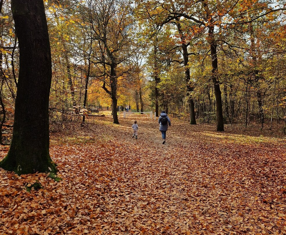 Pyramide van Austerlitz-Woudenberg必去景点